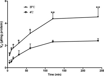 Brain Transport Profiles of Ginsenoside Rb1 by Glucose Transporter 1: In Vitro and in Vivo